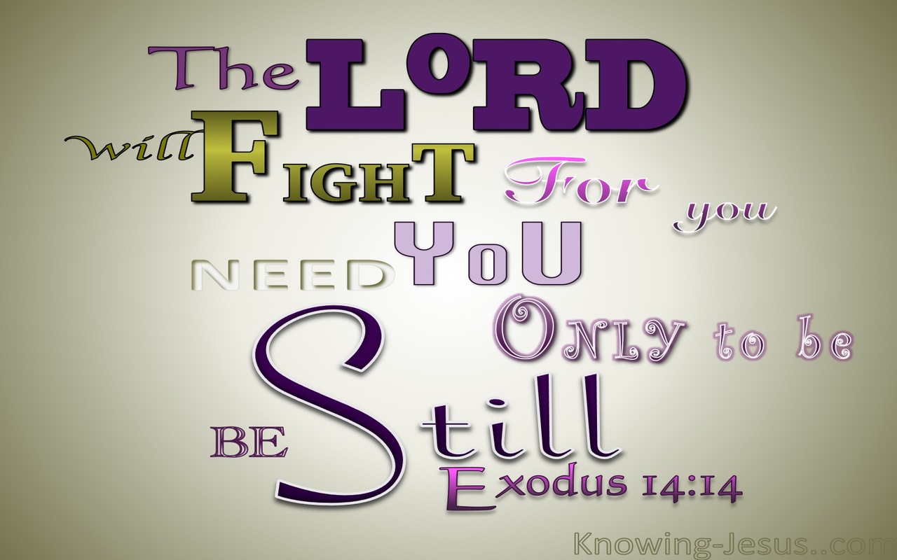 Exodus 14:14 The Lord Will Fight For You (purple)